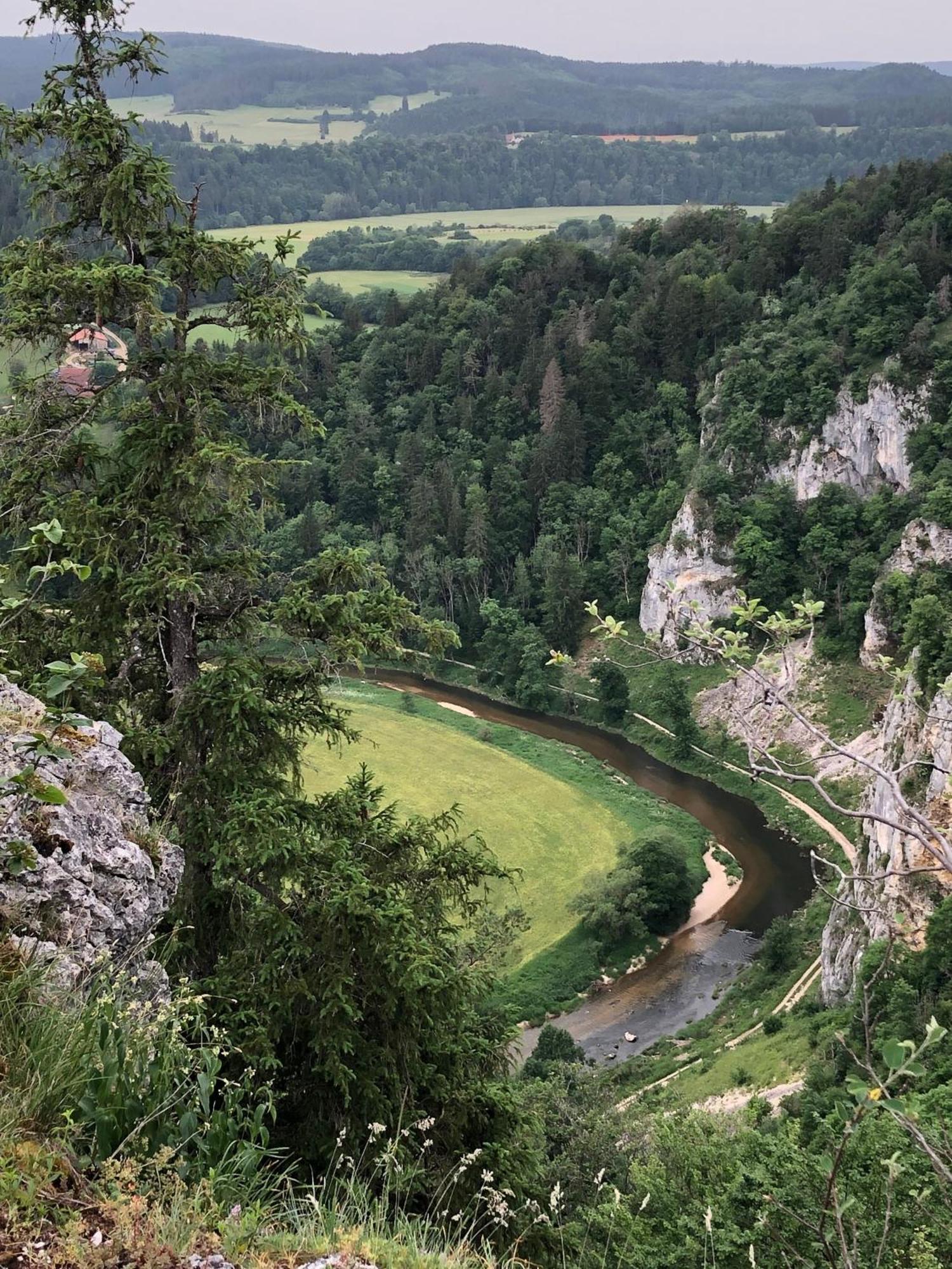 Ferienwohnung Jardin De Lavande Fridingen an der Donau Exteriör bild