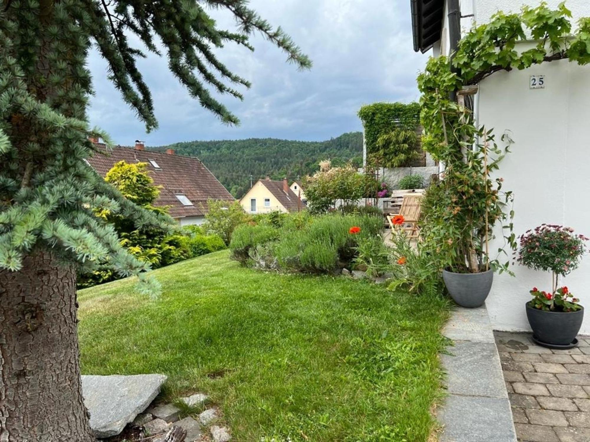 Ferienwohnung Jardin De Lavande Fridingen an der Donau Exteriör bild