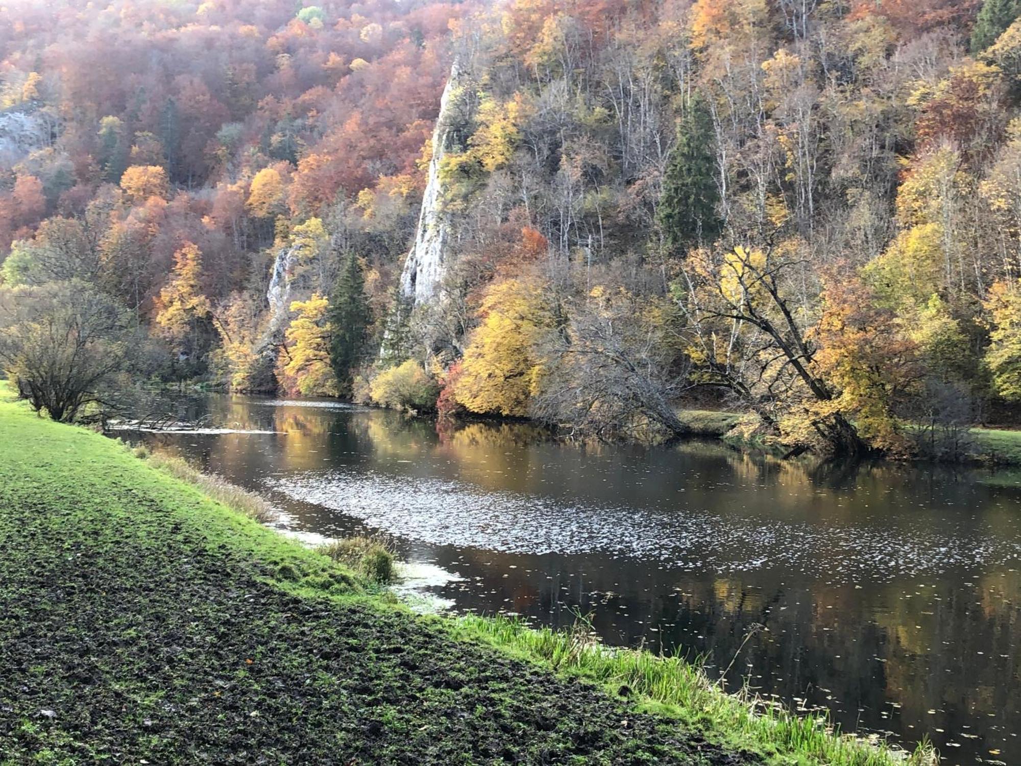 Ferienwohnung Jardin De Lavande Fridingen an der Donau Exteriör bild