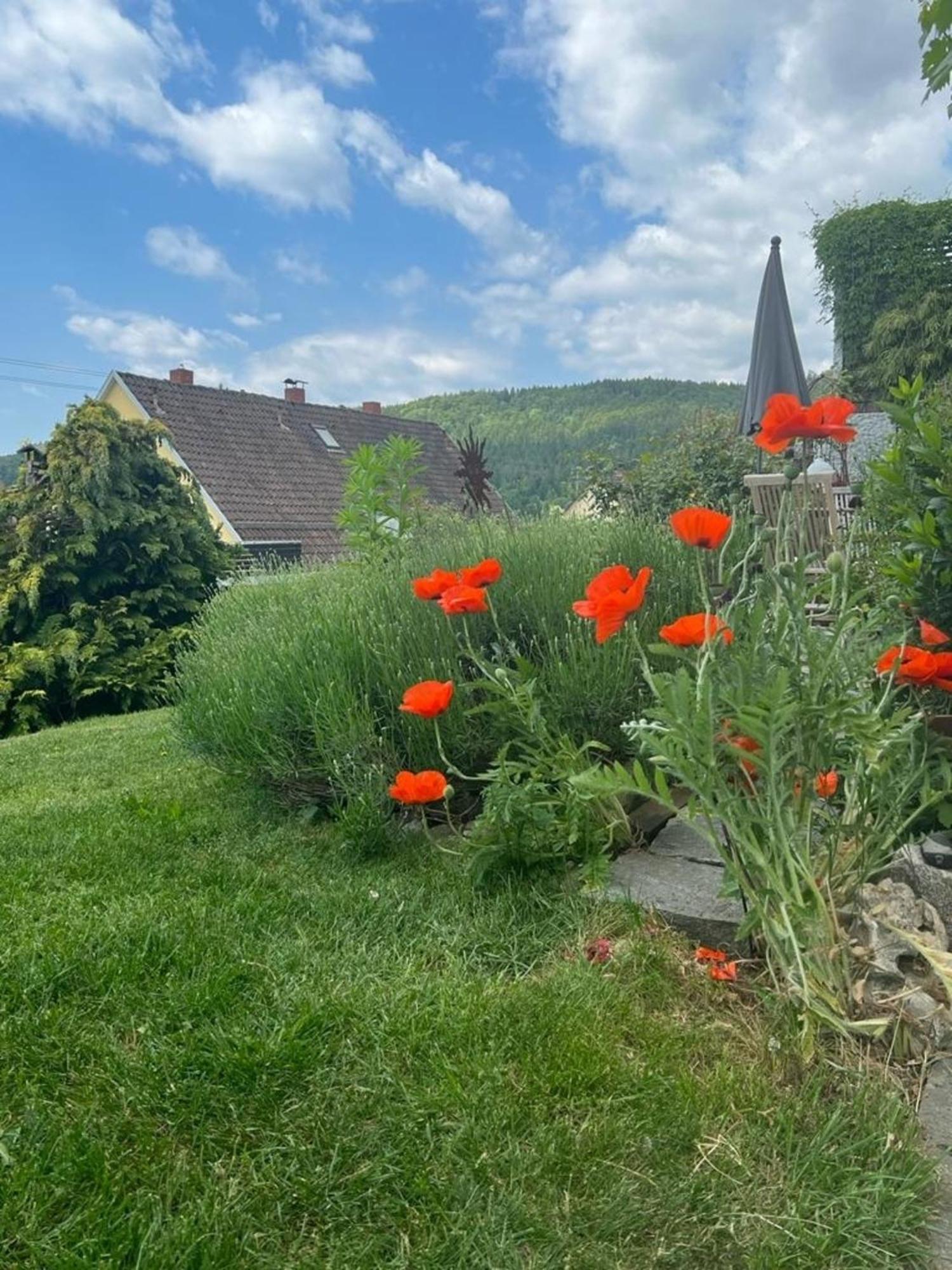 Ferienwohnung Jardin De Lavande Fridingen an der Donau Exteriör bild
