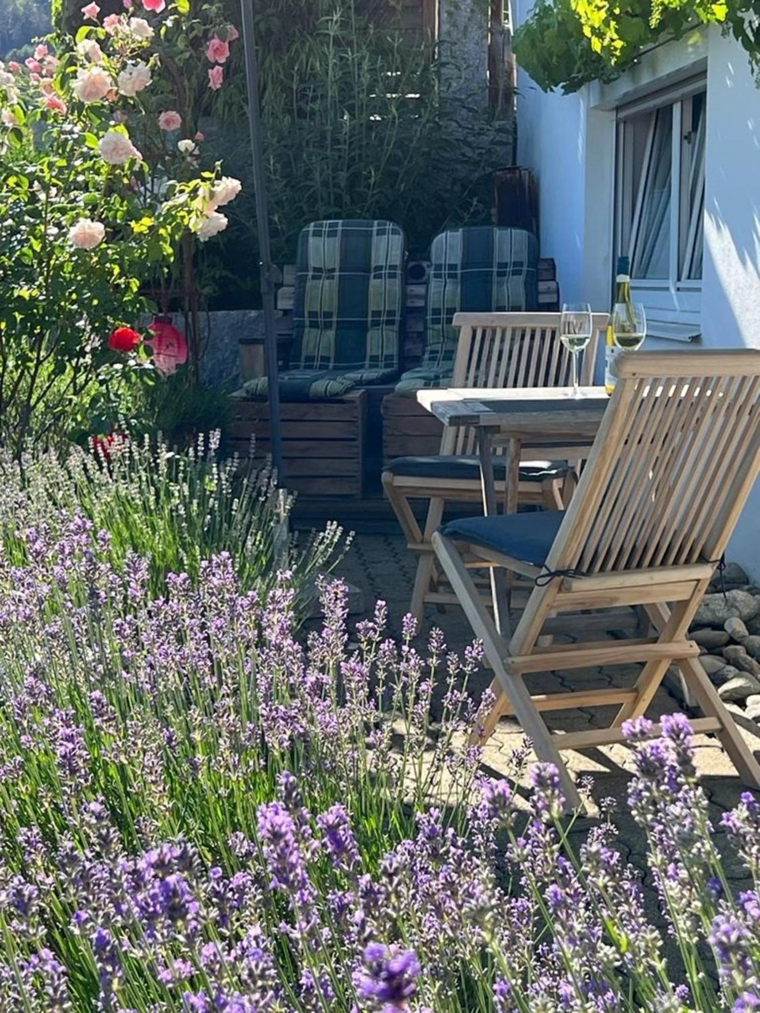 Ferienwohnung Jardin De Lavande Fridingen an der Donau Exteriör bild